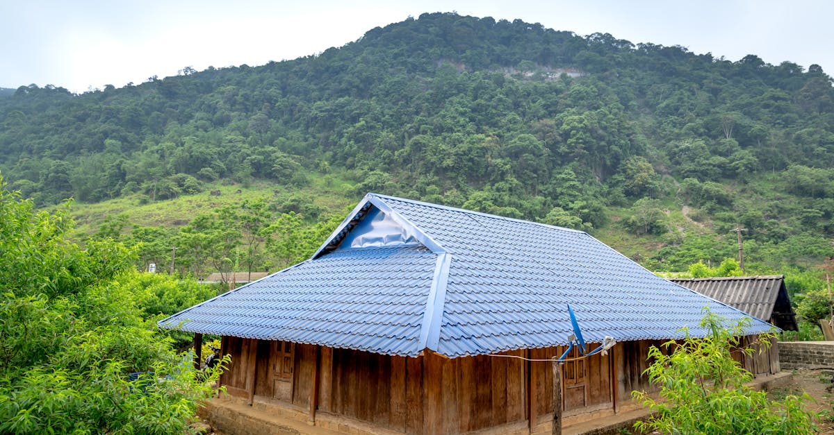 Zinc Roofing: Weathering and Patina Effects in Australian Environment